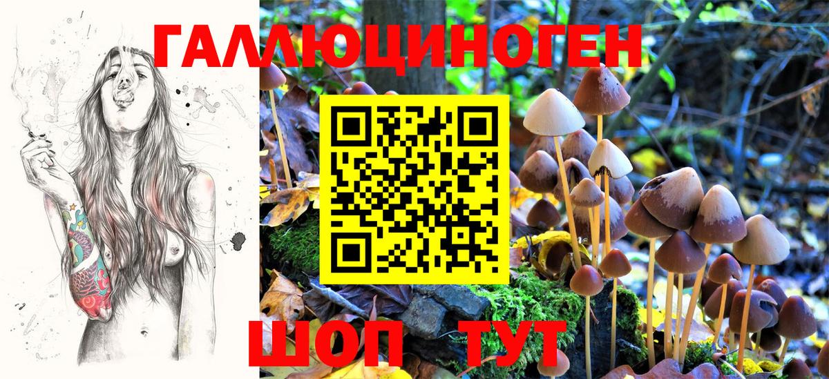 Галлюциногенные грибы GOLDEN TEACHER  Вход с VPN  Галлюциногенные грибы Cubensis  Ялта 